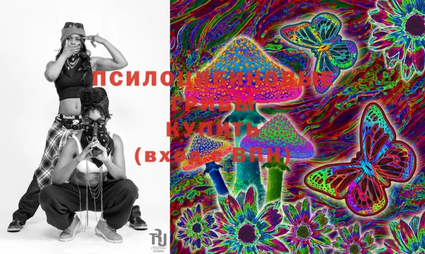 apvp Нягань